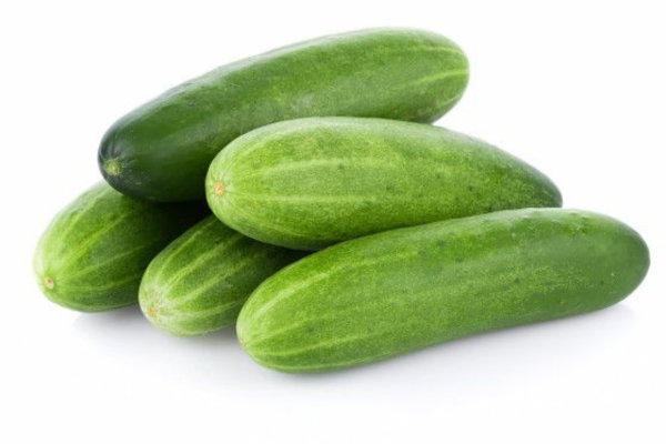 Cucumber