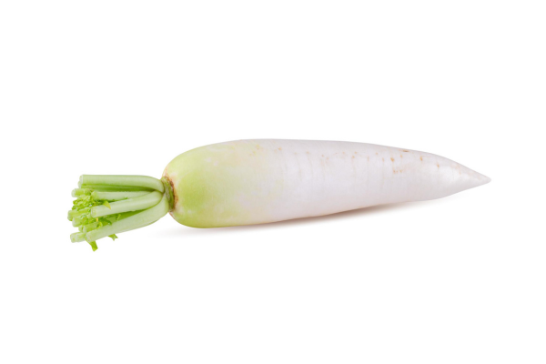 Radish