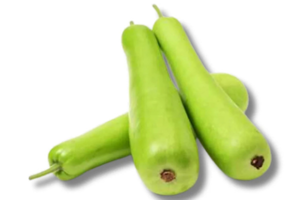 Bottle gourd
