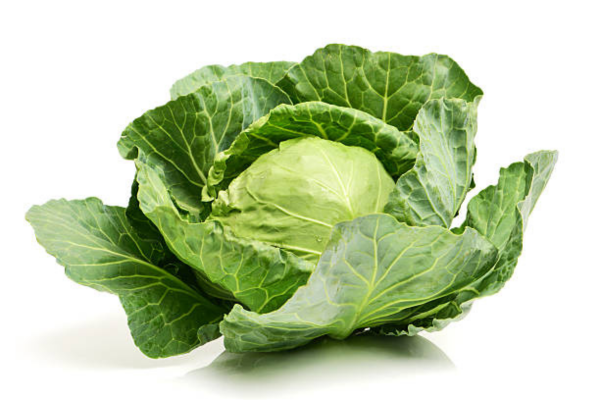 Cabage
