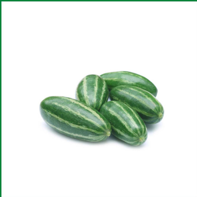 Pointed gourd